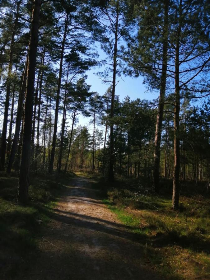 Domek Na Lesnej Pogorzelica  Exterior photo